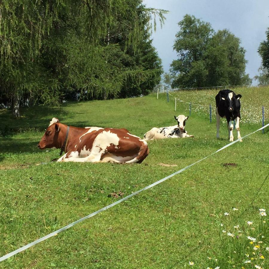 Schneiderhof Villa Seefeld in Tirol Eksteriør bilde